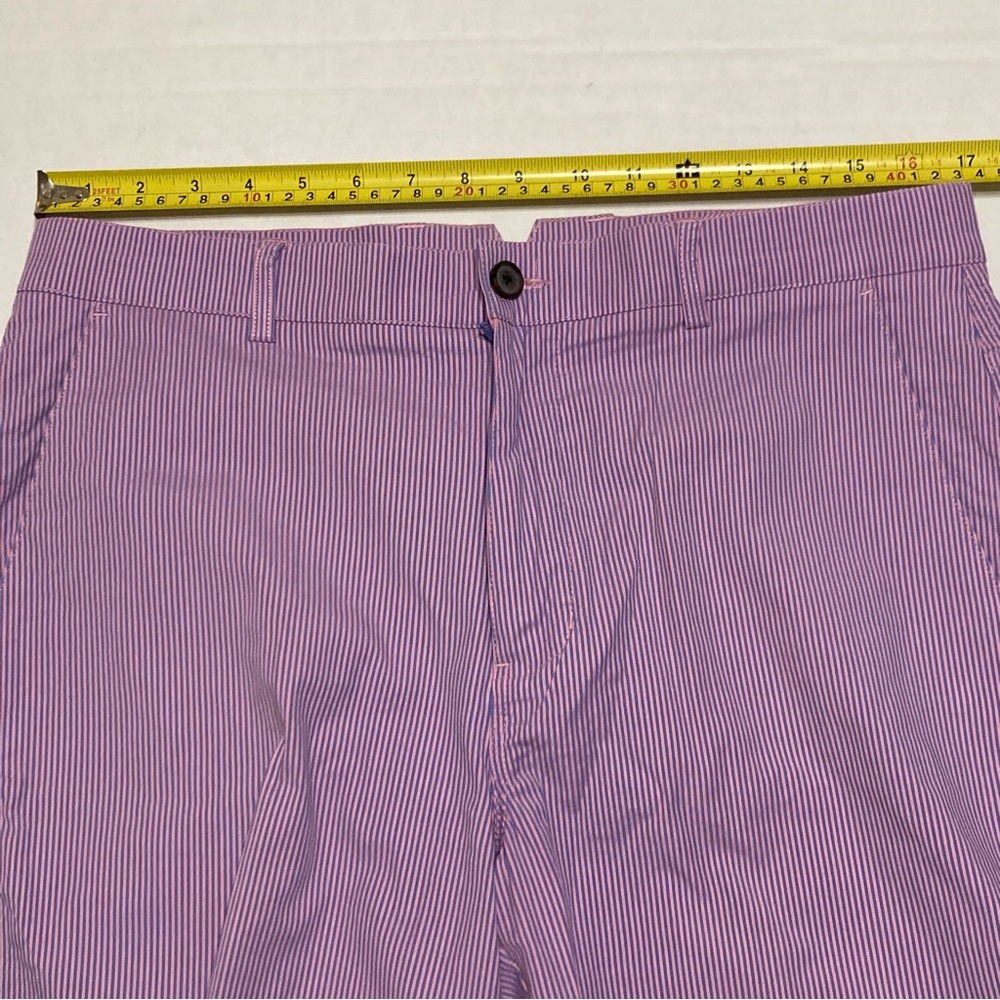 Dunning Pink Blue Pin Striped Golf Shorts Men’s 34 - Picture 3 of 10